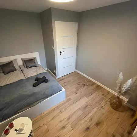 Przestronny Apartament 5 Min Od Centrum Katowic. *