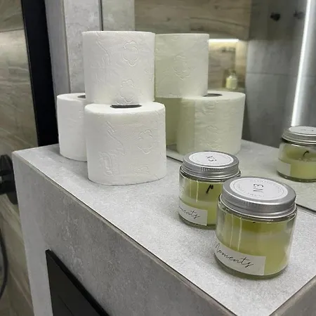 Przestronny Apartament 5 Min Od Centrum Katowic. *