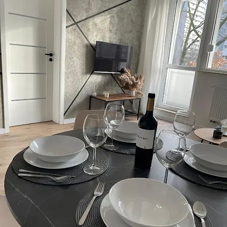 Przestronny Apartament 5 Min Od Centrum Katowic.