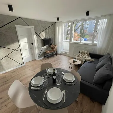 Przestronny Apartament 5 Min Od Centrum Katowic.