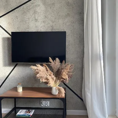 Przestronny Apartament 5 Min Od Centrum Katowic.