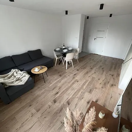 Przestronny Apartament 5 Min Od Centrum Katowic. *