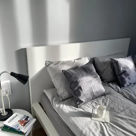 Przestronny Apartament 5 Min Od Centrum Katowic. 公寓 *