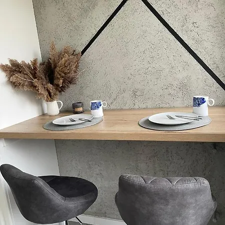 公寓 Przestronny Apartament 5 Min Od Centrum Katowic. *