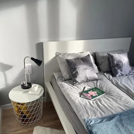 公寓 Przestronny Apartament 5 Min Od Centrum Katowic. *