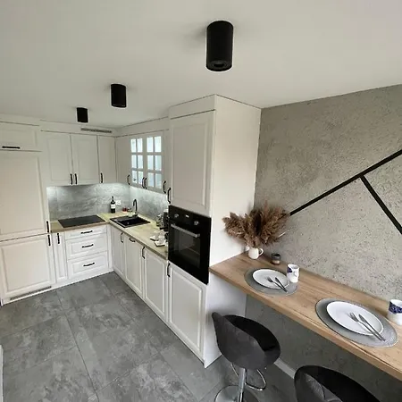 Apartment Przestronny Apartament 5 Min Od Centrum Katowic.