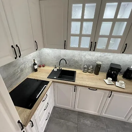 Przestronny Apartament 5 Min Od Centrum Katowic. * Katowice