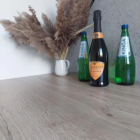 公寓 Przestronny Apartament 5 Min Od Centrum Katowic. 卡托维兹