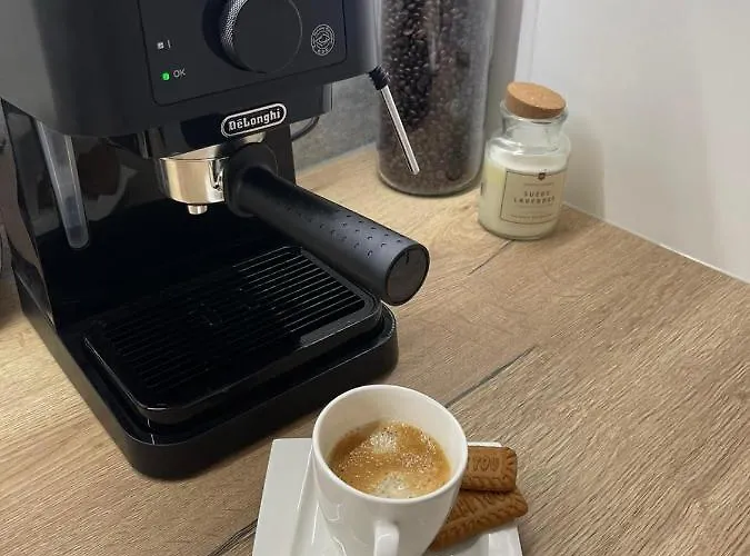 Przestronny Apartament 5 Min Od Centrum Katowic. * Κατοβίτσε