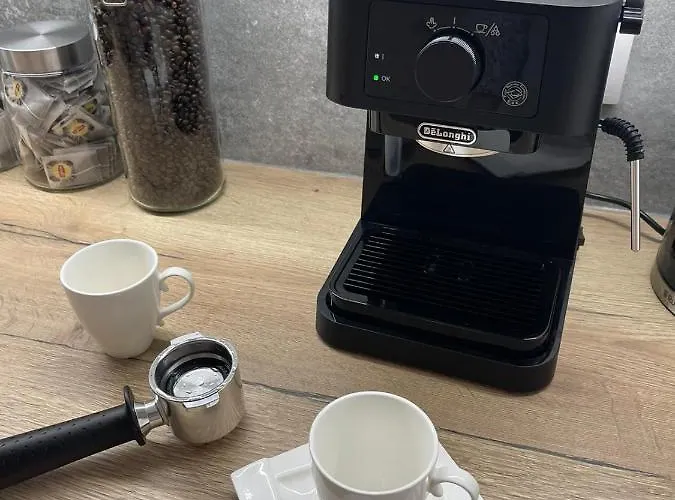 Przestronny Apartament 5 Min Od Centrum Katowic. *