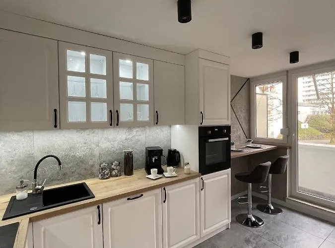 Przestronny Apartament 5 Min Od Centrum Katowic. * Κατοβίτσε