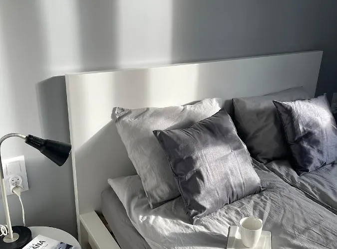 Przestronny Apartament 5 Min Od Centrum Katowic. Διαμέρισμα *