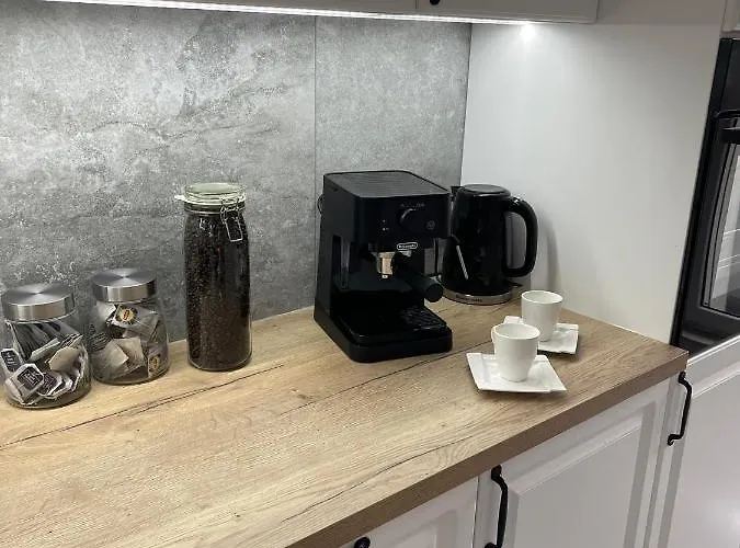 Przestronny Apartament 5 Min Od Centrum Katowic. Διαμέρισμα