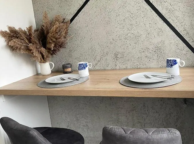 Διαμέρισμα Przestronny Apartament 5 Min Od Centrum Katowic. *